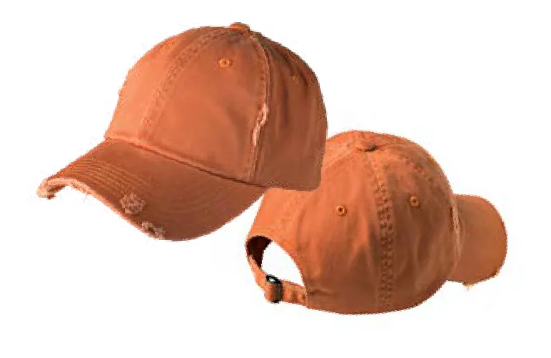 District Distressed Cap